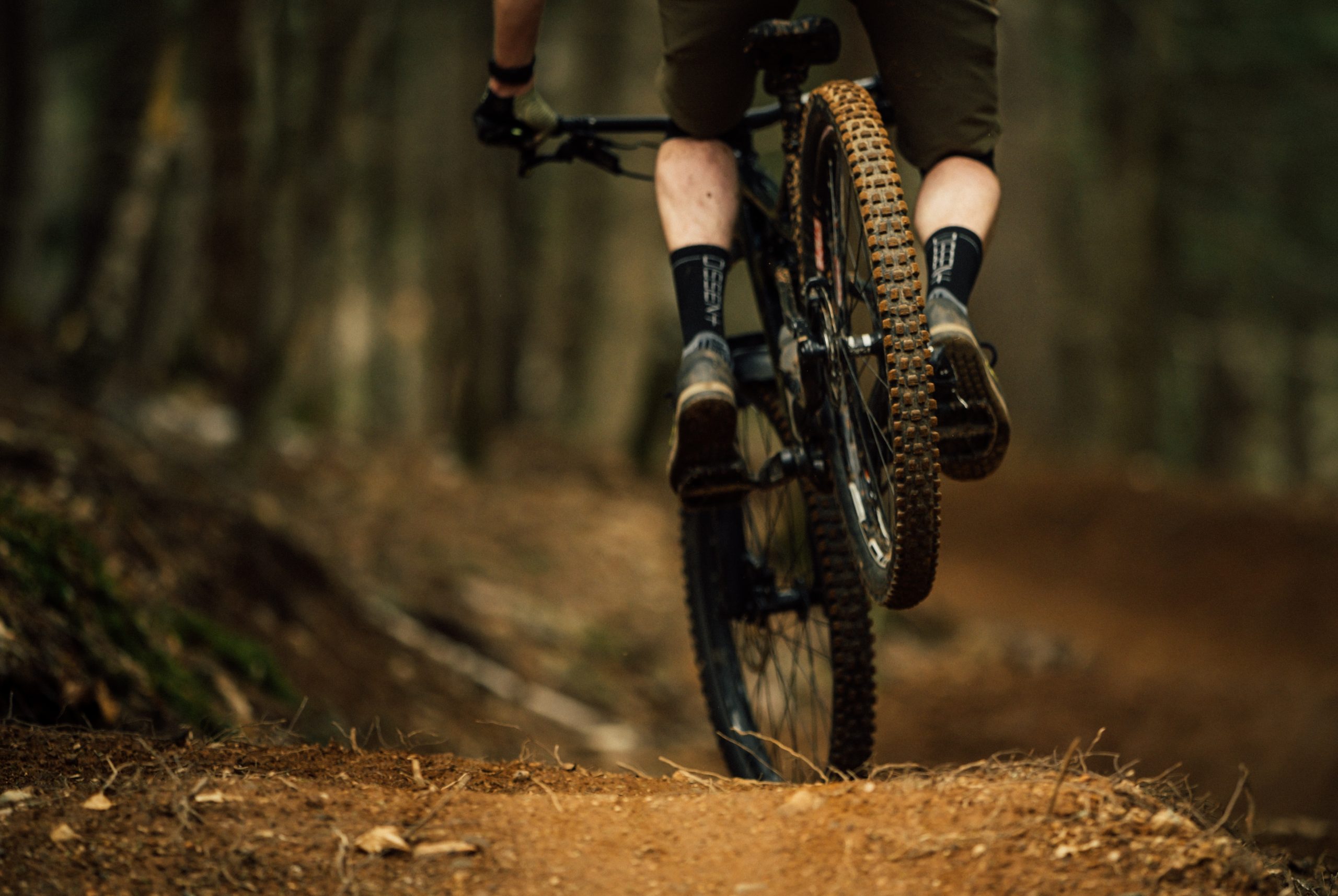 Mountainbiken vanuit De Lindershoeve in Bergeijk