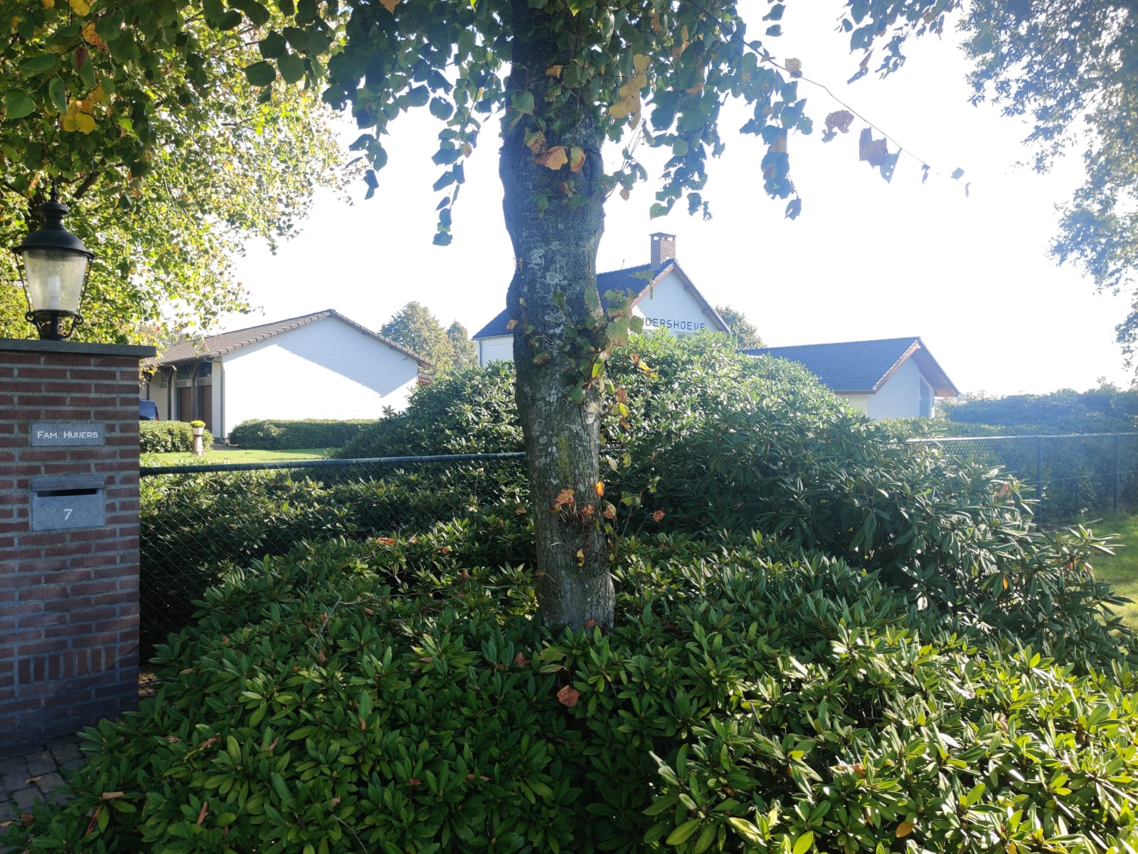 B&B De Lindershoeve in Bergeijk