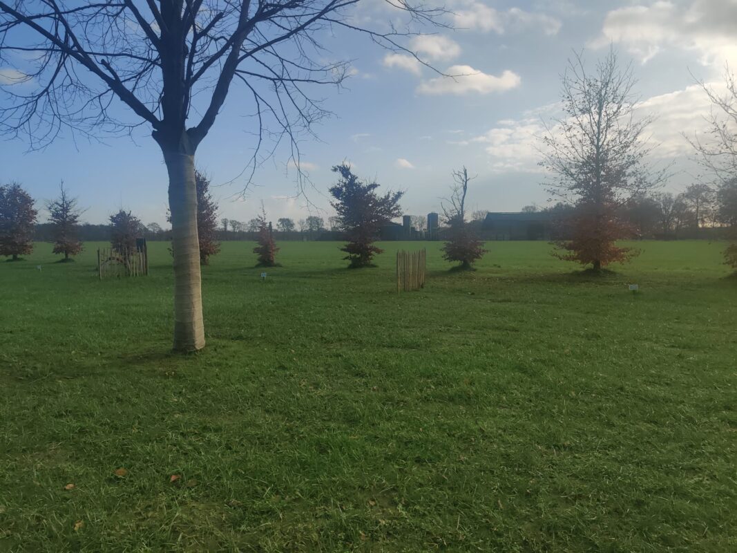 minicamping Lindershoeve Bergeijk