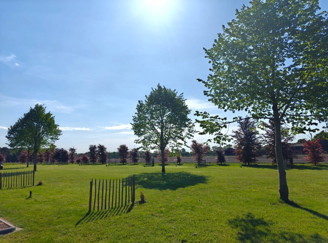 Camping Bergeijk Lindershoeve