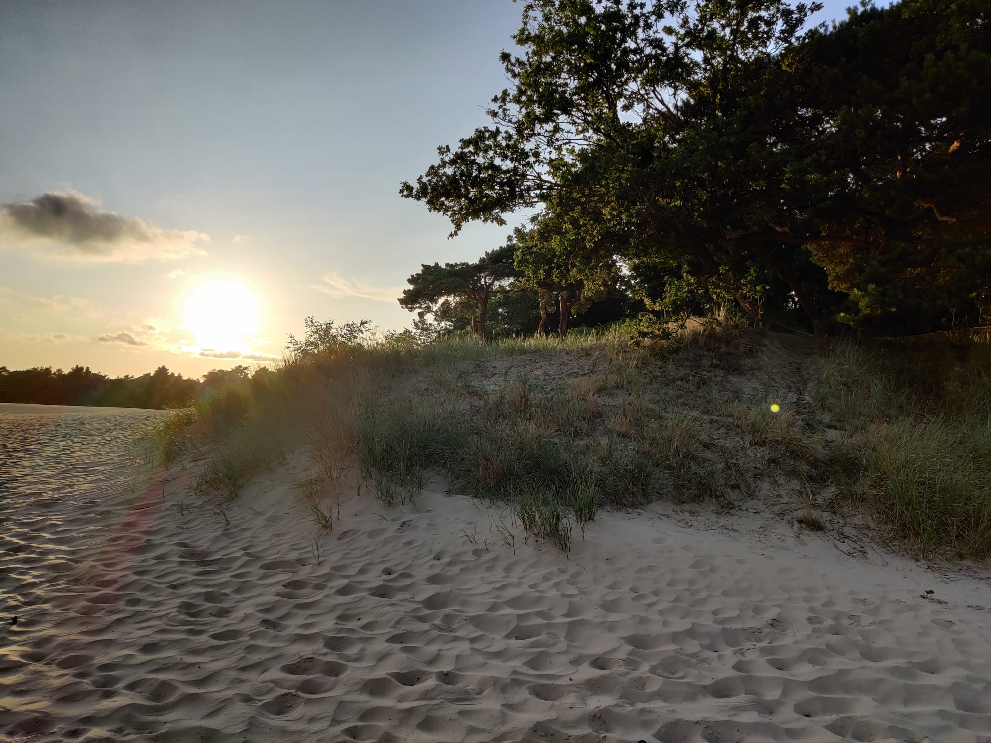 Zonsondergang in de Lommelse Sahara