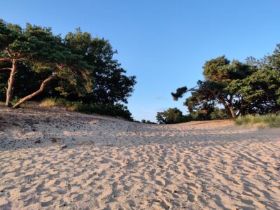 Lommel Sahara